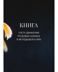 Книга учета трудовых книжек и вкладыщей к ним