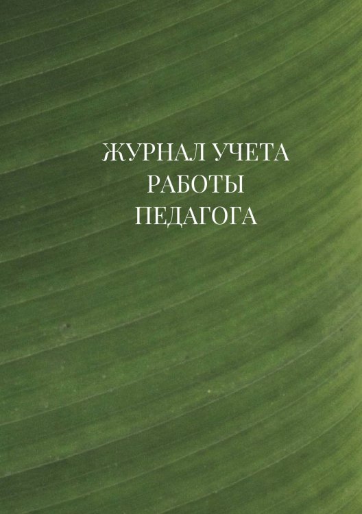 Журнал учета работы педагога дополнительного образования Журнал учета работы педагога дополнительного образования