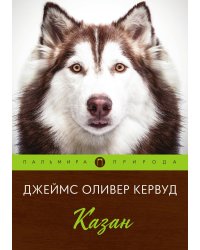 Казан