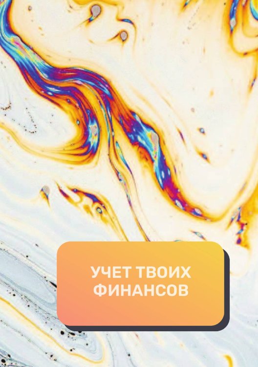Обложка книги «Учет твоих финансов» — автора нет, ISBN 9785521892426