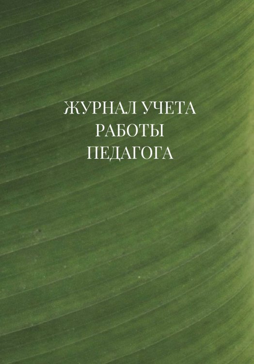 Журнал учета работы педагога дополнительного образования Журнал учета работы педагога дополнительного образования