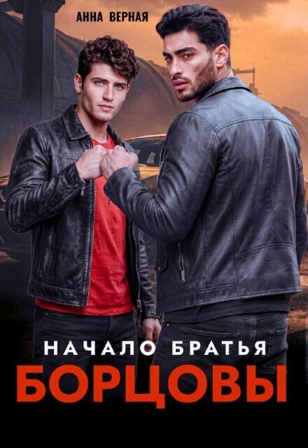 Обложка книги «Братья Борцовы. Начало.» — Анна Верная, ISBN 9785524062161