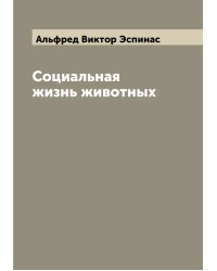Социальная жизнь животных