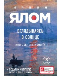 Вглядываясь в солнце. Жизнь без страха смерти