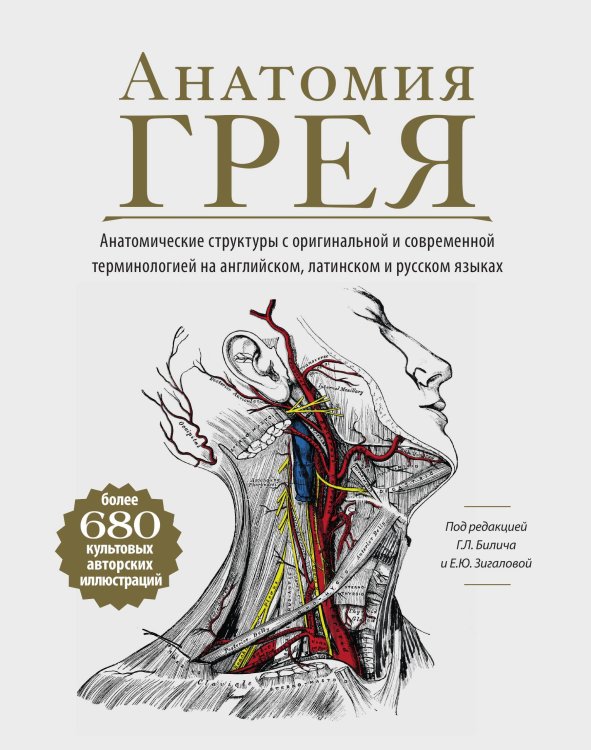 Обложка книги «Анатомия Грея. Анатомические структуры с оригинальной и современной терминологией на английском, латинском и русском языках» — Габриэль Билич; Елена Зигалова, ISBN 9785042416576