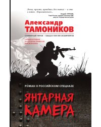 Янтарная камера
