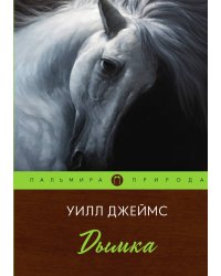 Дымка