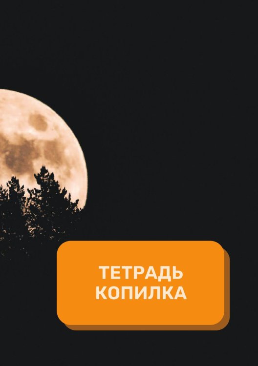 Тетрадь - копилка на год Обложка книги «Тетрадь - копилка на год» — автора нет, ISBN 9785521891399