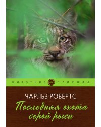 Последняя охота серой рыси