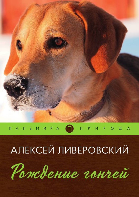 Обложка книги «Рождение гончей» — Алексей Ливеровский, ISBN 9785517035011