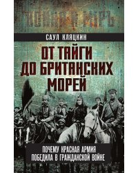 «От тайги до британских морей…» Почему Красная Армия победила в Гражданской войне
