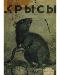 Крысы. Рассказ