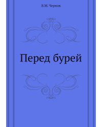 Перед бурей