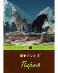 Пират