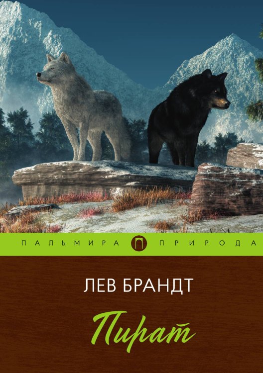 Обложка книги «Пират» — Лев Брандт, ISBN 9785517085825