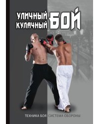 Уличный кулачный бой