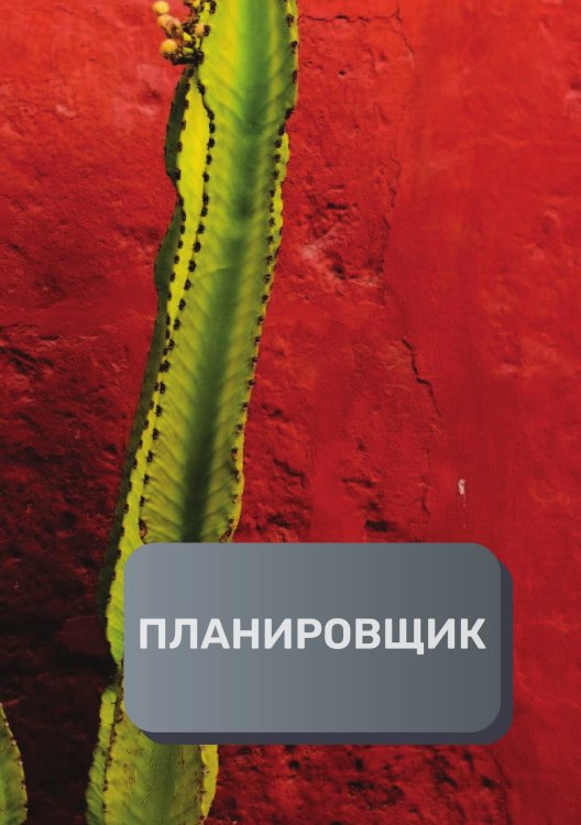 Обложка книги «Планировщик клиентов и встреч» — автора нет, ISBN 9785521893980