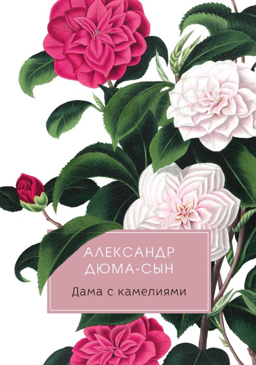 Обложка книги «Дама с камелиями» — Александр Дюма, ISBN 9785517017567