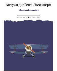 Ночной полет