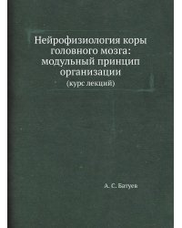 Нейрофизиология коры головного мозга: модульный принцип организации