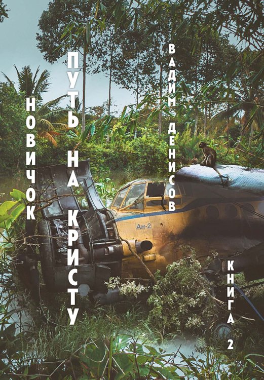 Обложка книги «Новичок» — В. Денисов, ISBN 9785521736546