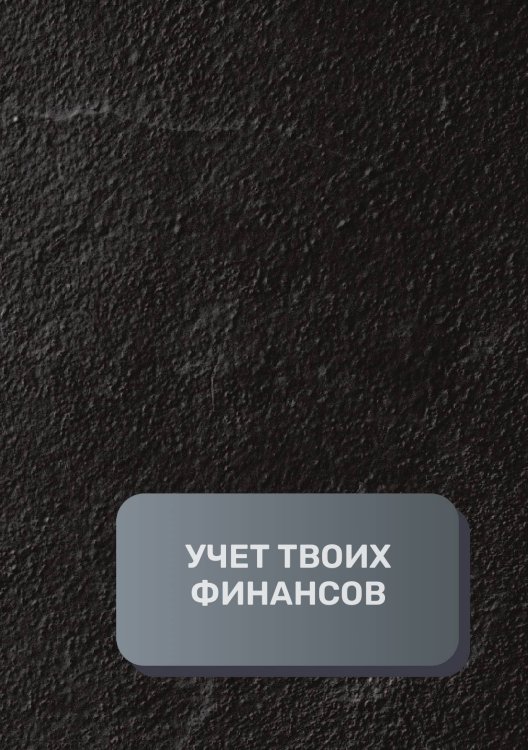 Обложка книги «Учет твоих финансов» — автора нет, ISBN 9785521892273