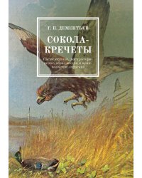 Сокола-кречеты