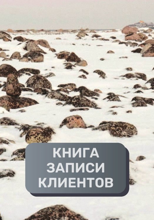 Обложка книги «Книга записи клиентов» — автора нет, ISBN 9785521894512