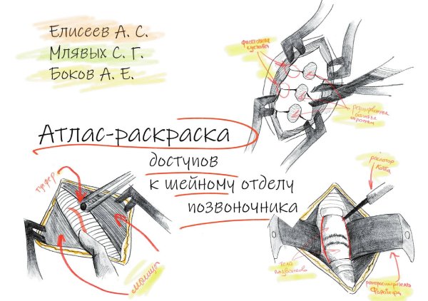 Атлас-раскраска доступов к шейному отделу позвоночника Обложка книги «Атлас-раскраска доступов к шейному отделу позвоночника» — А. Елисеев; С. Млявых; А. Боков, ISBN 9785605398387