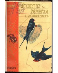 Искусства и ремесла у животных