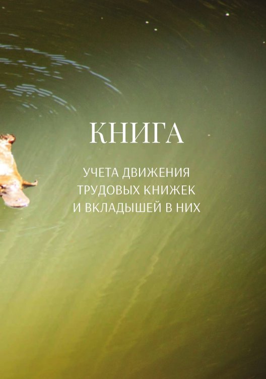 Обложка книги «Книга учета трудовых книжек и вкладыщей к ним» — автора нет, ISBN 9785521887507