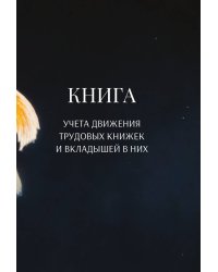 Книга учета трудовых книжек и вкладыщей к ним