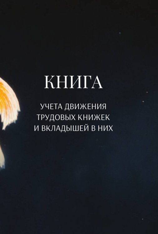 Обложка книги «Книга учета трудовых книжек и вкладыщей к ним» — автора нет, ISBN 9785521888375