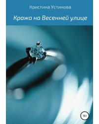 Кража на Весенней улице