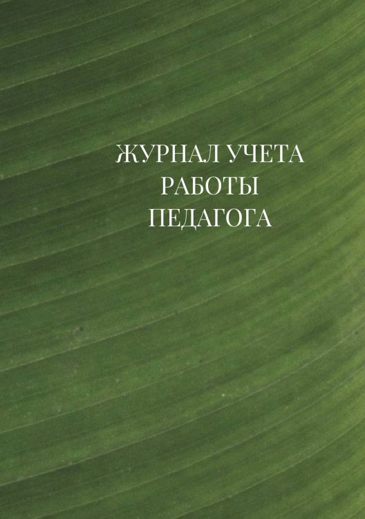 Журнал учета работы педагога дополнительного образования Журнал учета работы педагога дополнительного образования