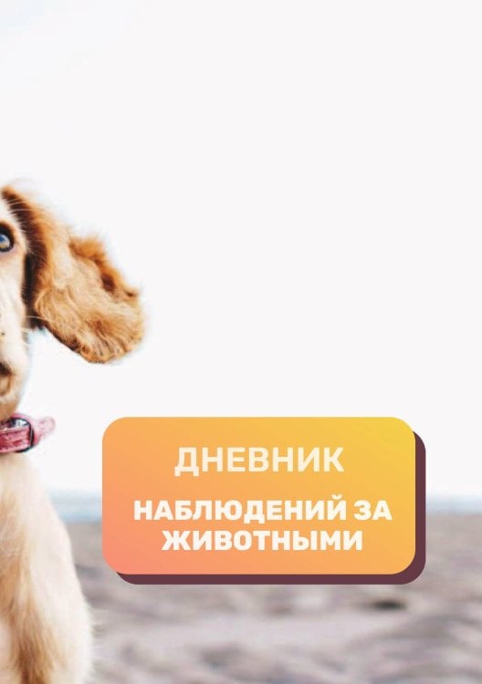 Дневник наблюдения за животными, универсальный Обложка книги «Дневник наблюдения за животными, универсальный» — автора нет, ISBN 9785521890378