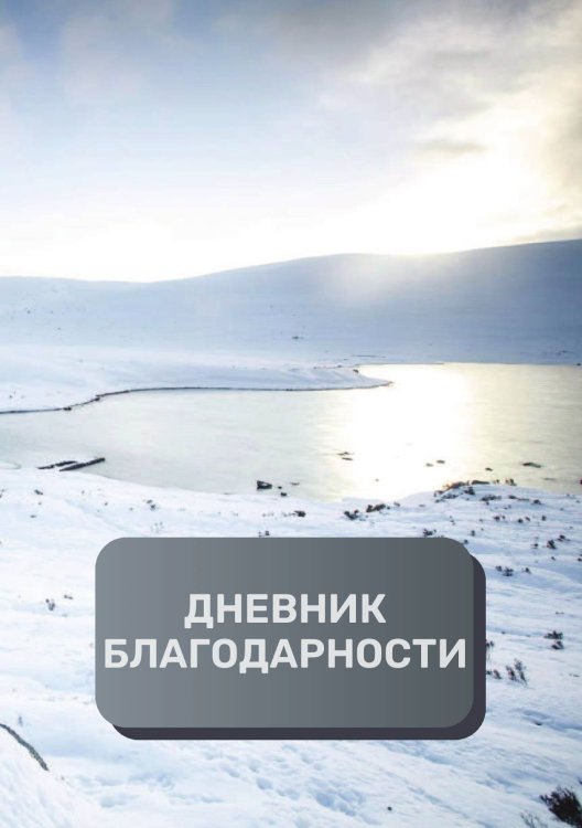 Обложка книги «Дневник благодарности, премиум (подарочное) издание, 200 страниц» — автора нет, ISBN 9785521896585