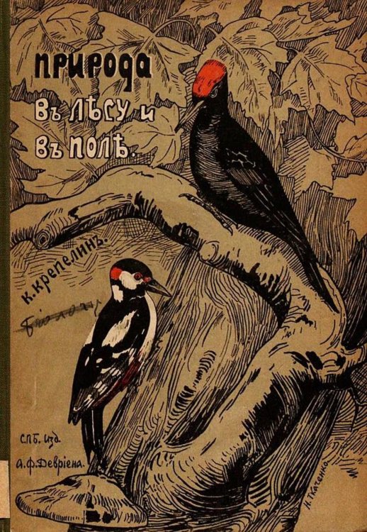 Обложка книги «Природа в лесу и поле» — Карл Крепелин, ISBN 9785521970148