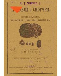 Трюфели и сморчки