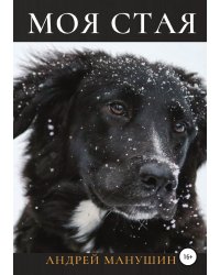 Моя Стая