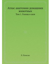 Атлас анатомии домашних животных