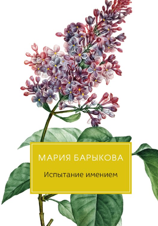Обложка книги «Испытание имением» — Мария Барыкова, ISBN 9785517028938