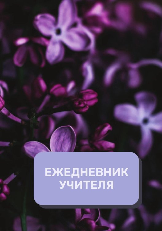 Обложка книги «Дневник учителя» — автора нет, ISBN 9785521892143