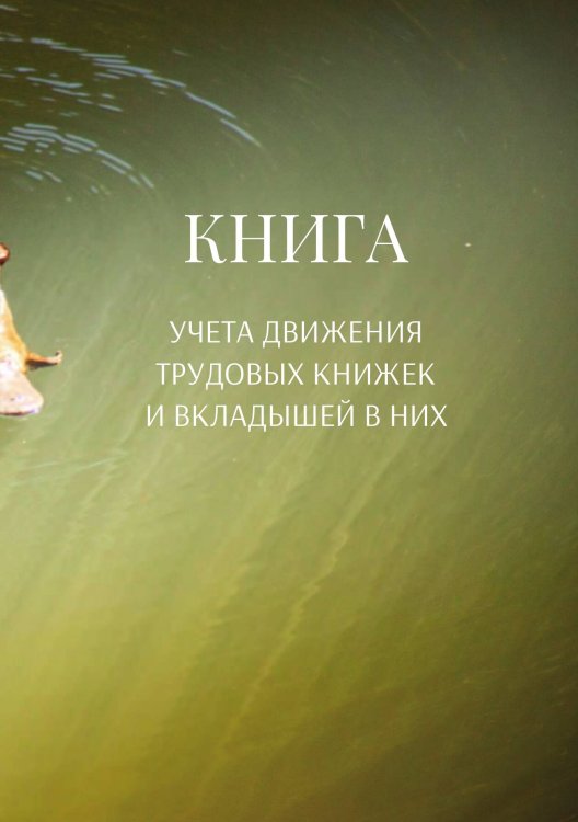 Книга учета трудовых книжек и вкладыщей к ним Обложка книги «Книга учета трудовых книжек и вкладыщей к ним» — автора нет, ISBN 9785521887170