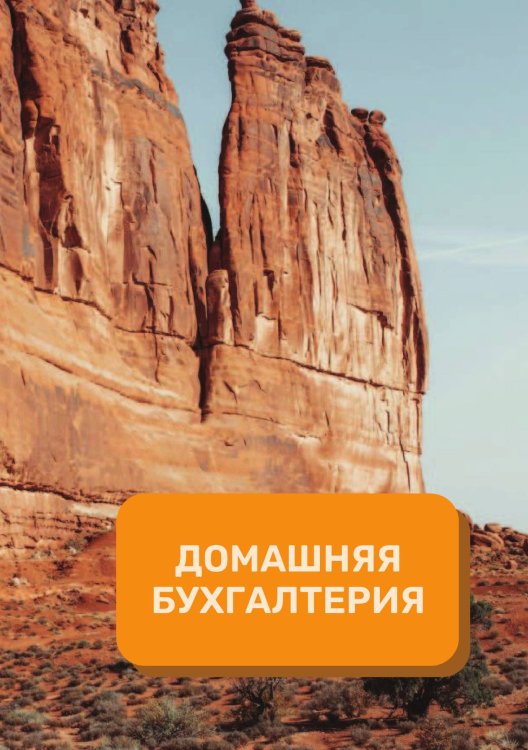 Обложка книги «Домашняя бухгалтерия на год» — автора нет, ISBN 9785521891115