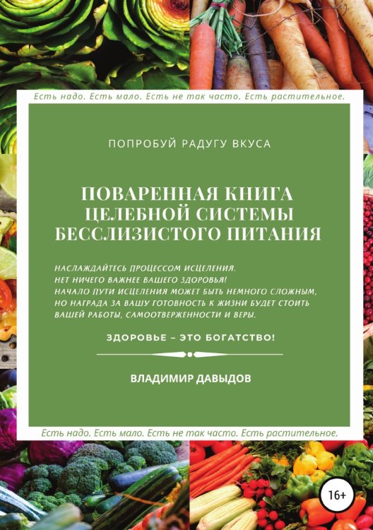 Обложка книги «Поваренная книга целебной системы бесслизистого питания» — Владимир Давыдов, ISBN 9785532935747