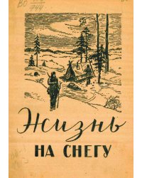 Жизнь на снегу