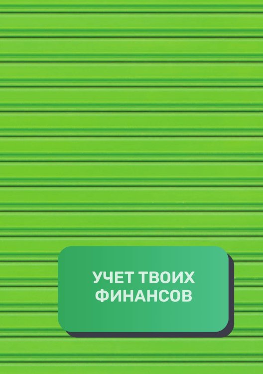 Обложка книги «Учет твоих финансов» — автора нет, ISBN 9785521892464
