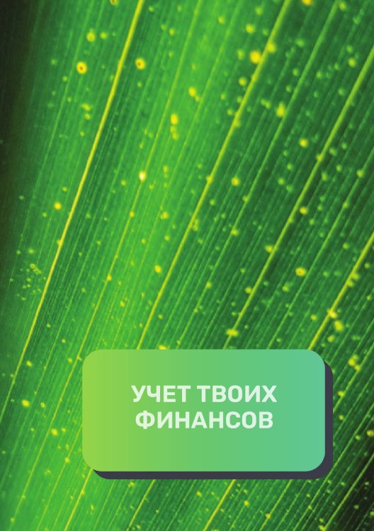 Обложка книги «Учет твоих финансов» — автора нет, ISBN 9785521892488