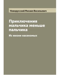 Приключения мальчика меньше пальчика